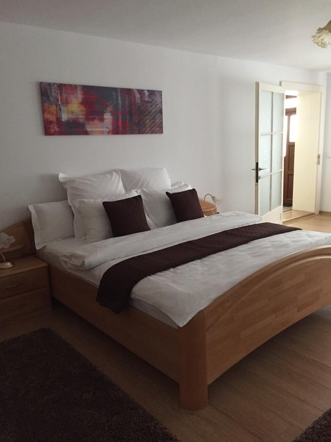 Xenopol Grand Studio Appartement Sibiu Buitenkant foto