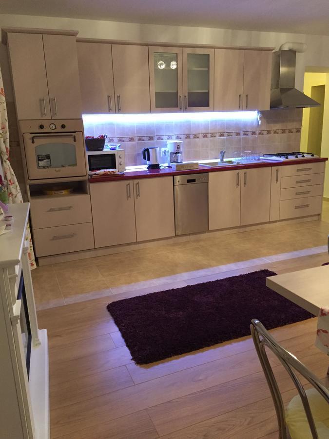 Xenopol Grand Studio Appartement Sibiu Buitenkant foto