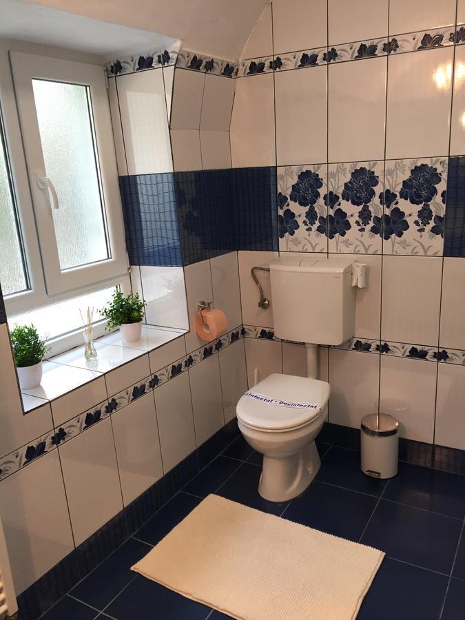 Xenopol Grand Studio Appartement Sibiu Buitenkant foto